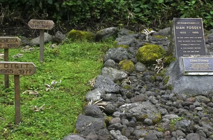Dian Fossey Tomb