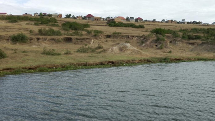 Human Settlement in QENP
