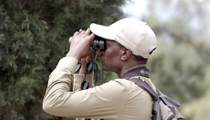 birding Birding in Uganda