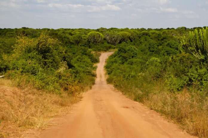 road-trip-uganda Road Trip Uganda